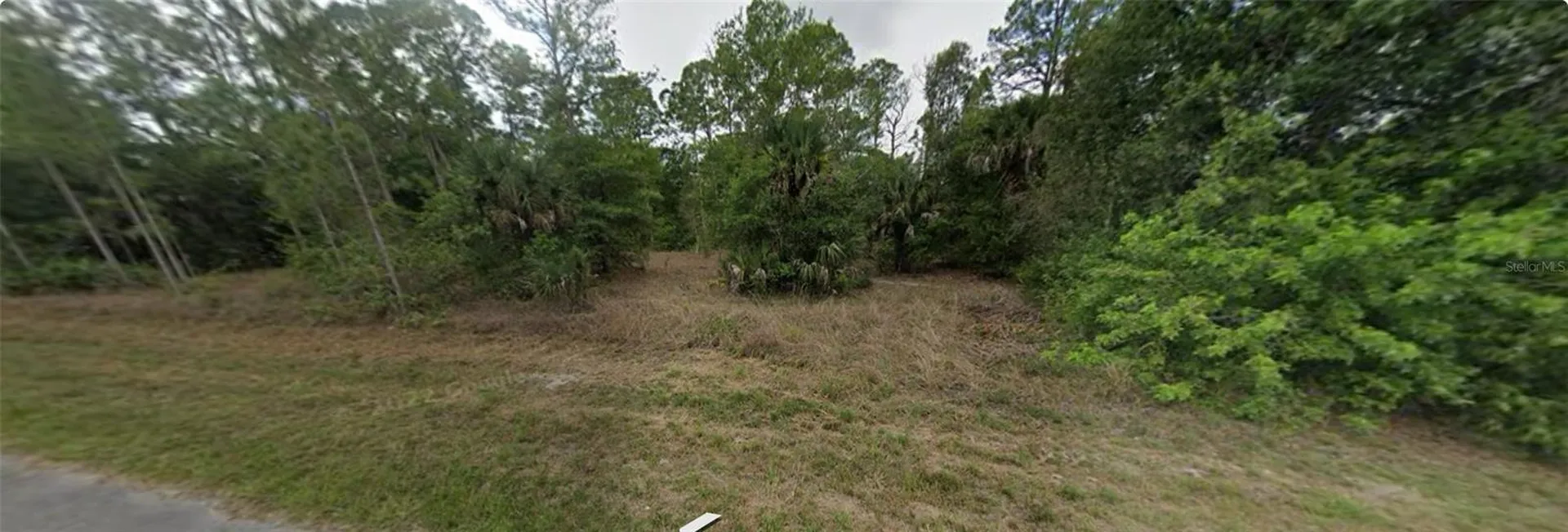 1007 Leroy Avenue Lehigh Acres FL 33972