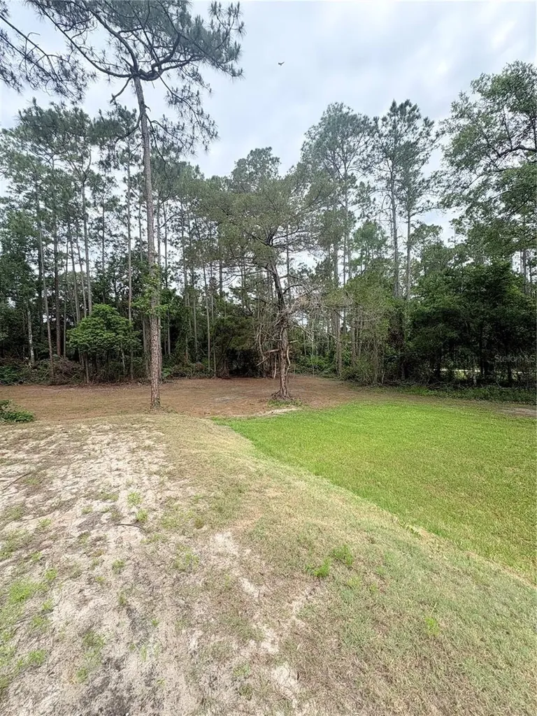 2132 Lancewood Street Bunnell FL 32110
