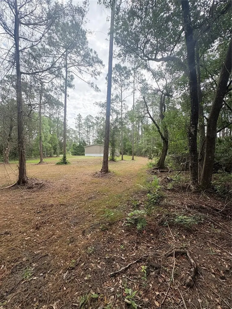 2132 Lancewood Street Bunnell FL 32110