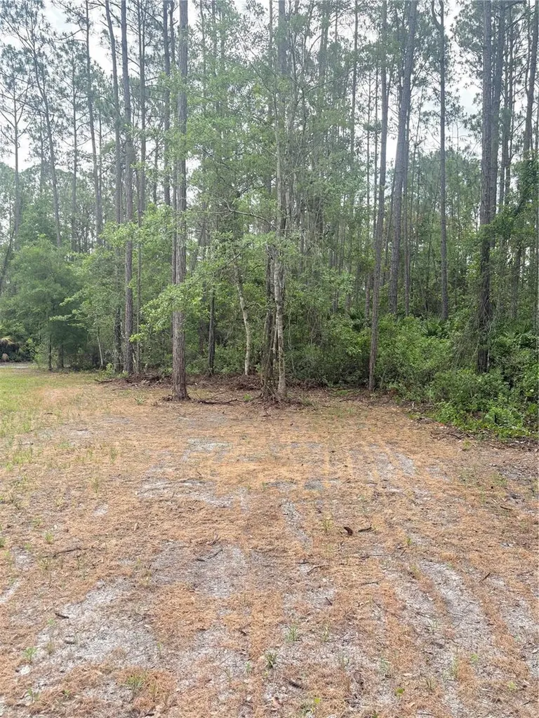 2132 Lancewood Street Bunnell FL 32110