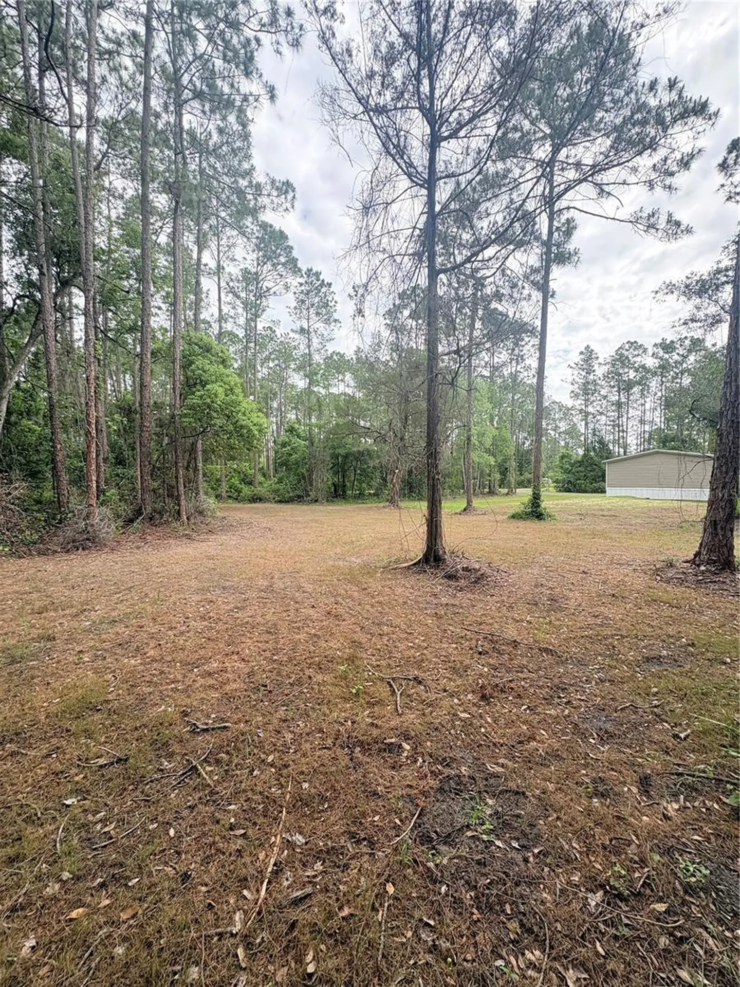 2132 Lancewood Street Bunnell FL 32110