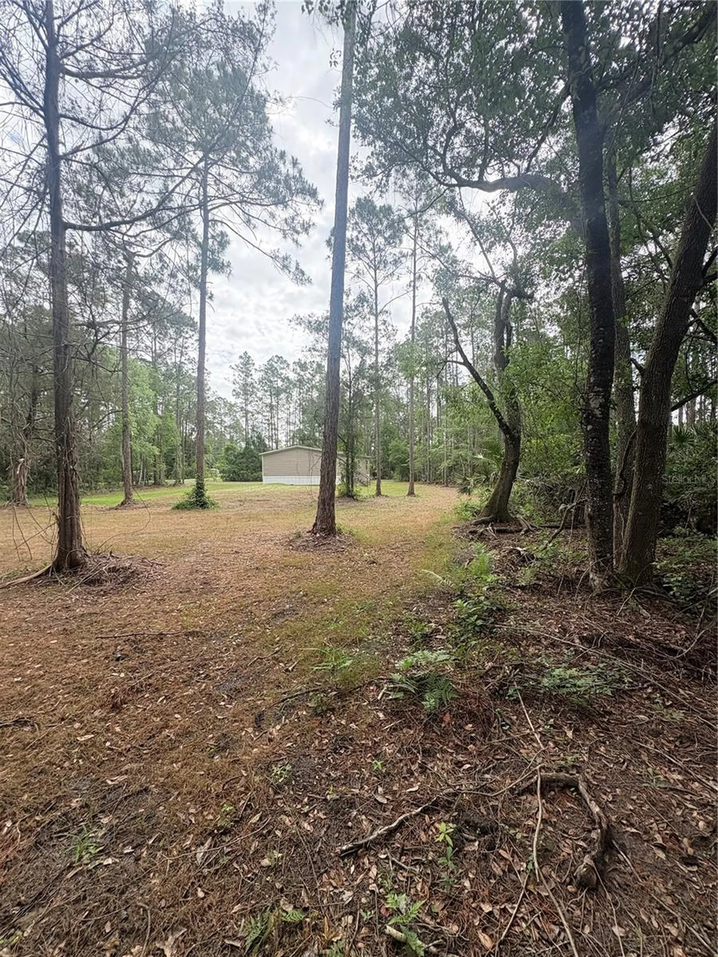2132 Lancewood Street Bunnell FL 32110