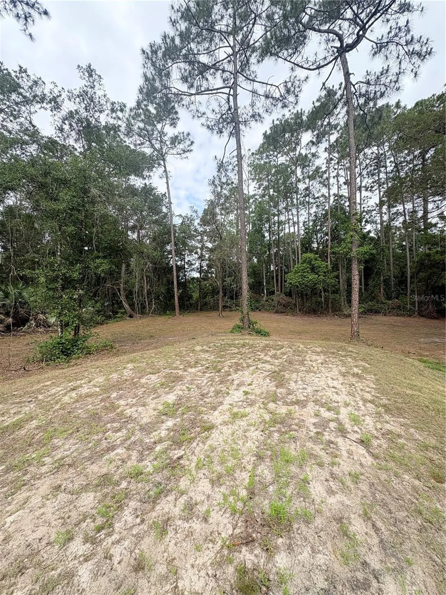 2132 Lancewood Street Bunnell FL 32110