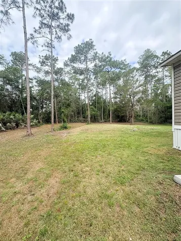 2132 Lancewood Street Bunnell FL 32110
