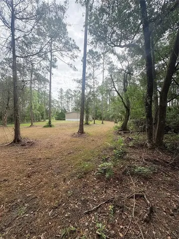 2132 Lancewood Street Bunnell FL 32110