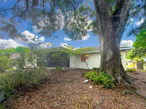 903 Black Knight Drive Valrico FL 33594