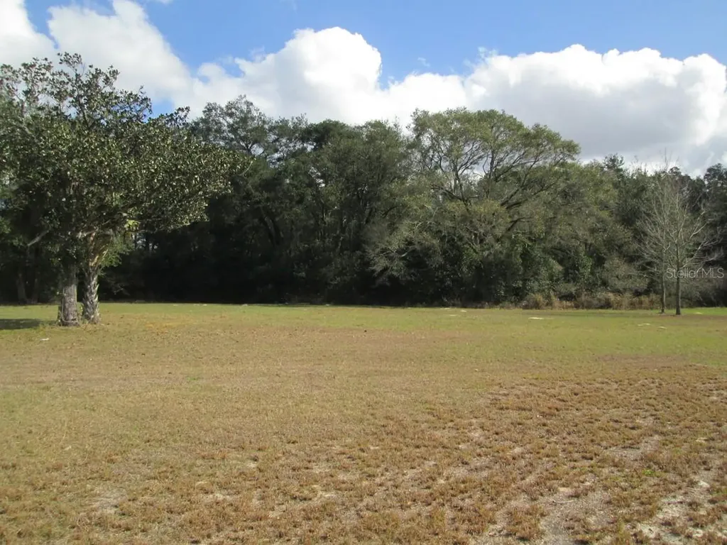 4411 N Orange Blossom Trail Mount Dora FL 32757