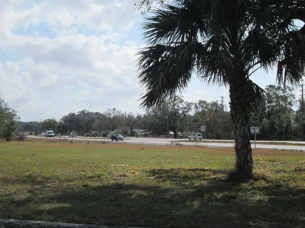 4411 N Orange Blossom Trail Mount Dora FL 32757