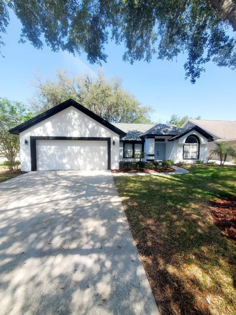 16102 Dowling Court Tampa FL 33647