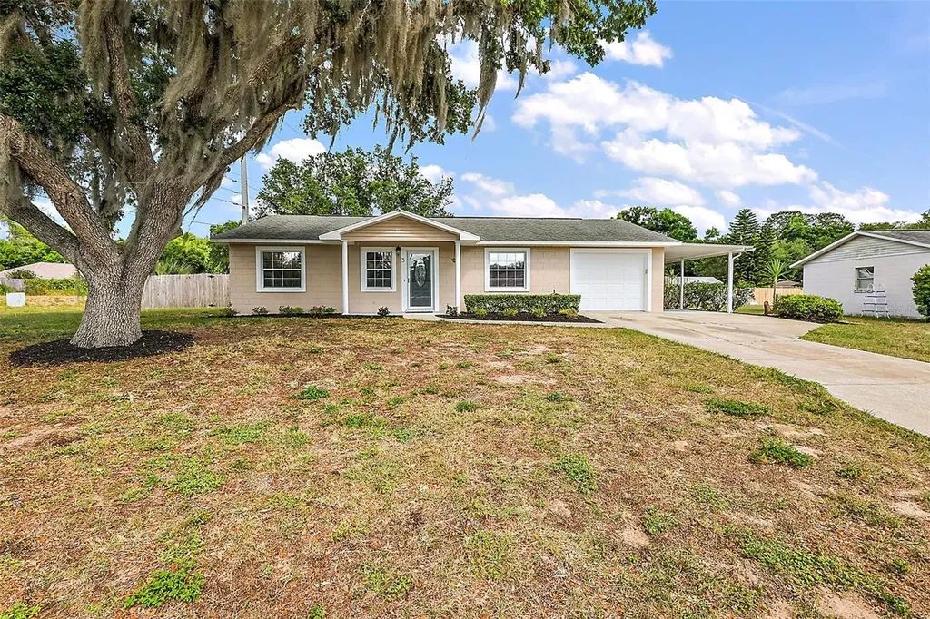 3 Sun Country Court Eustis FL 32726