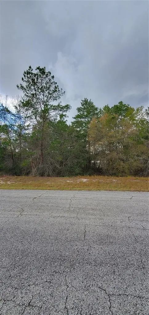 1428 Hillsborough Drive Poinciana FL 34759