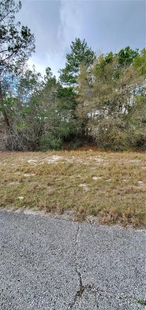1428 Hillsborough Drive Poinciana FL 34759