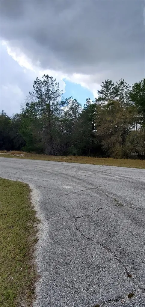 1428 Hillsborough Drive Poinciana FL 34759
