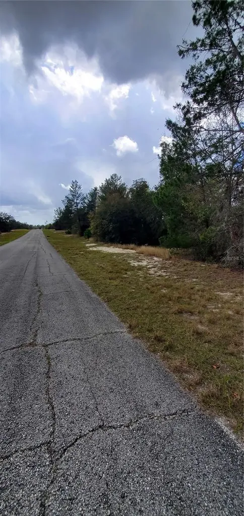 1428 Hillsborough Drive Poinciana FL 34759