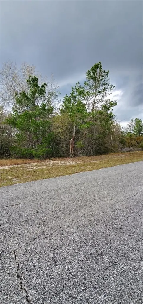 1428 Hillsborough Drive Poinciana FL 34759