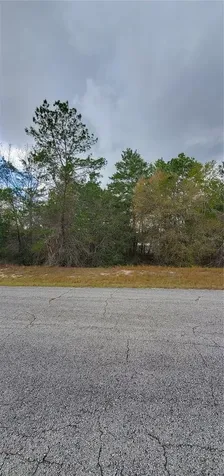 1428 Hillsborough Drive Poinciana FL 34759