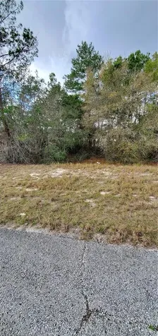 1428 Hillsborough Drive Poinciana FL 34759
