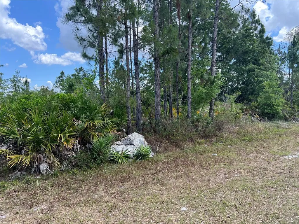 506 Magnolia Drive Indian Lake Estates FL 33855