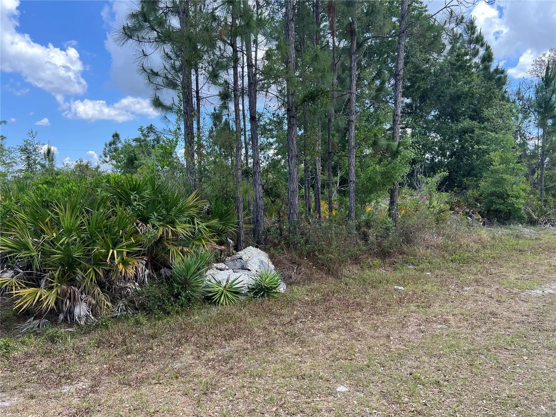 506 Magnolia Drive Indian Lake Estates FL 33855