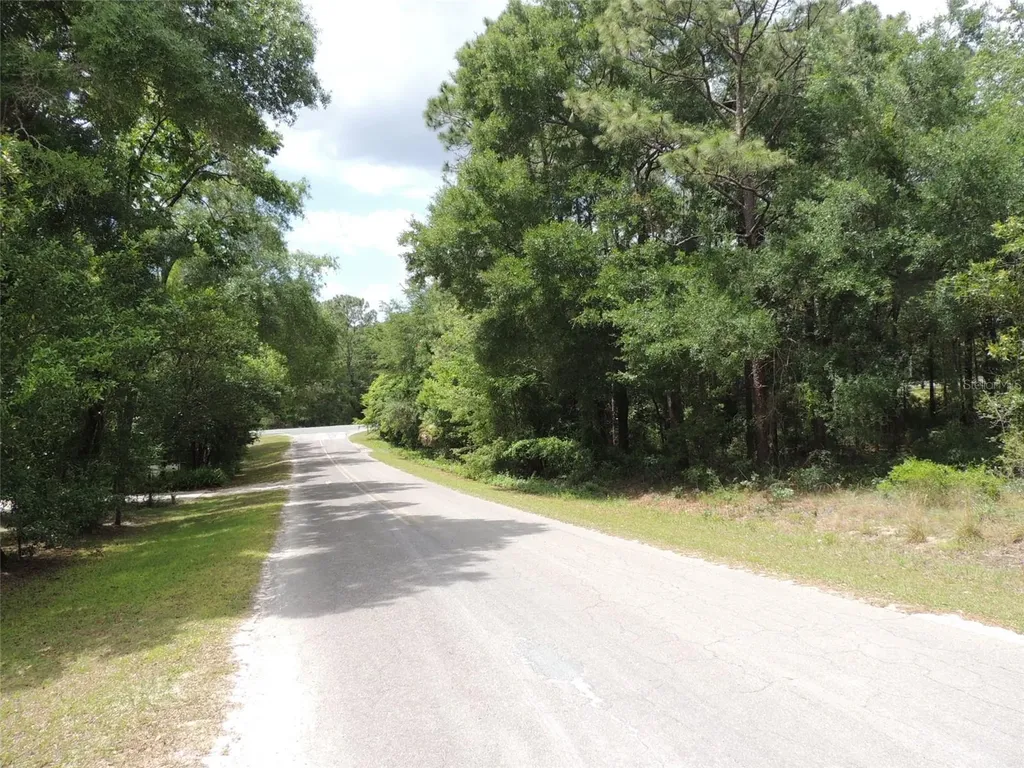 15955 NE 13th Street Williston FL 32696