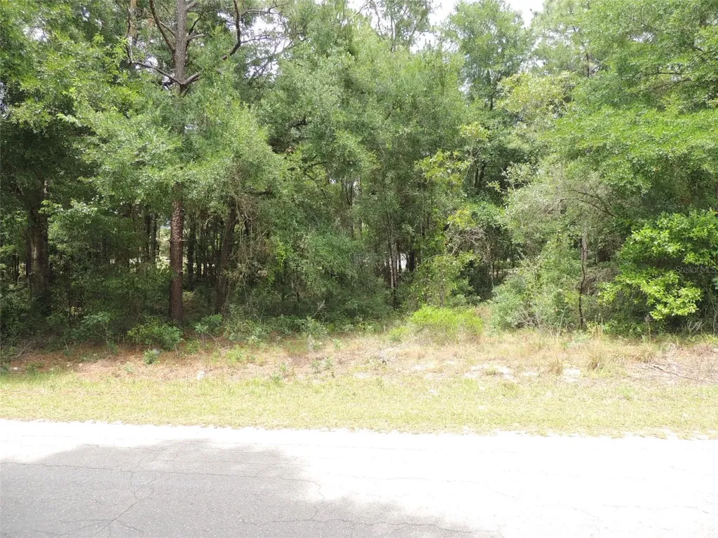15955 NE 13th Street Williston FL 32696