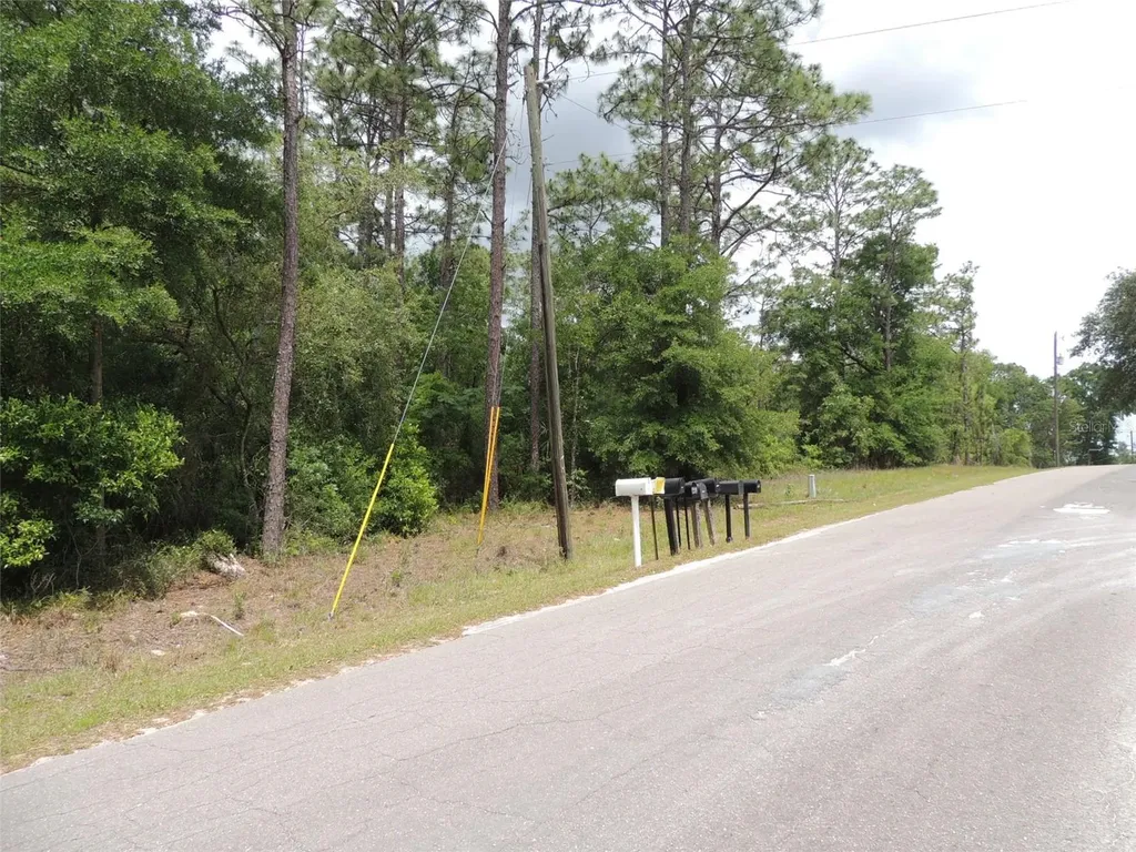15955 NE 13th Street Williston FL 32696
