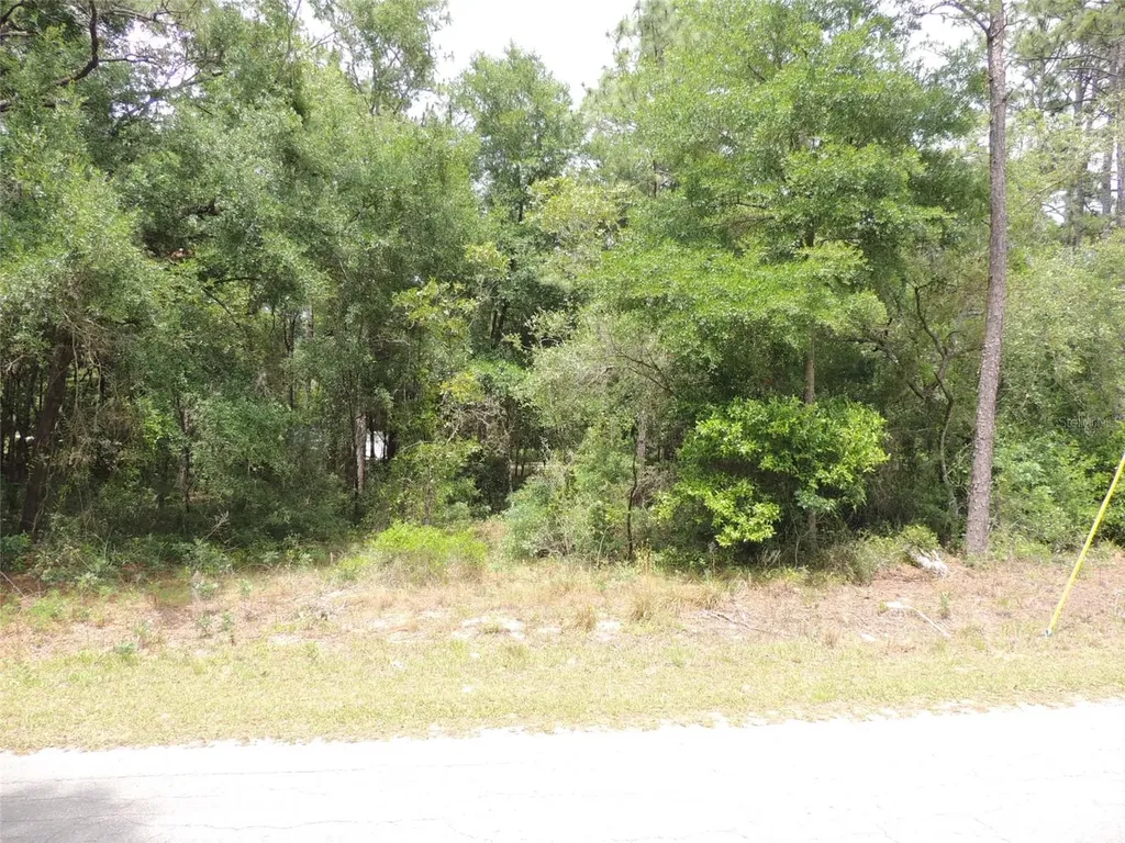 15955 NE 13th Street Williston FL 32696