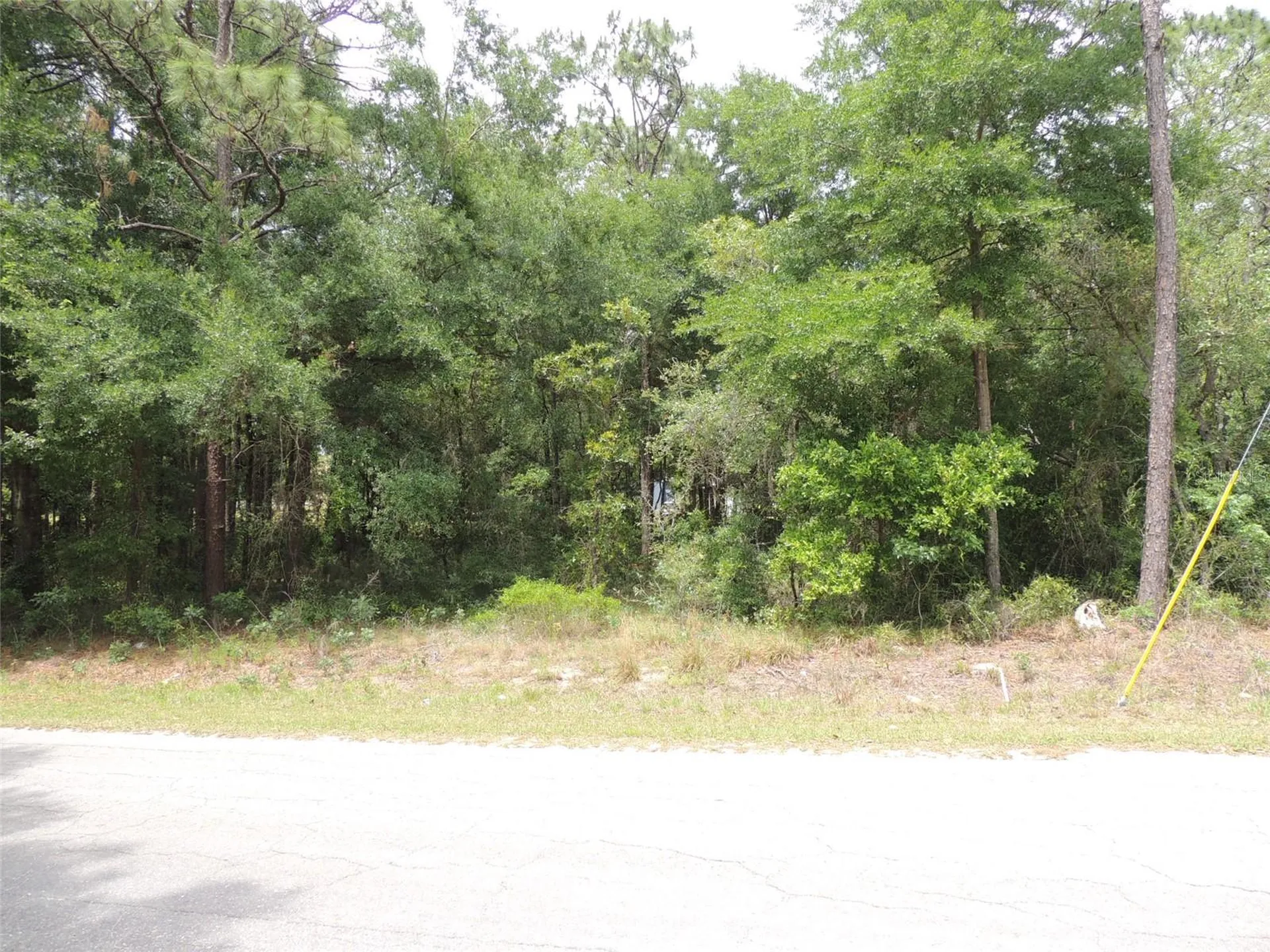 15955 NE 13th Street Williston FL 32696