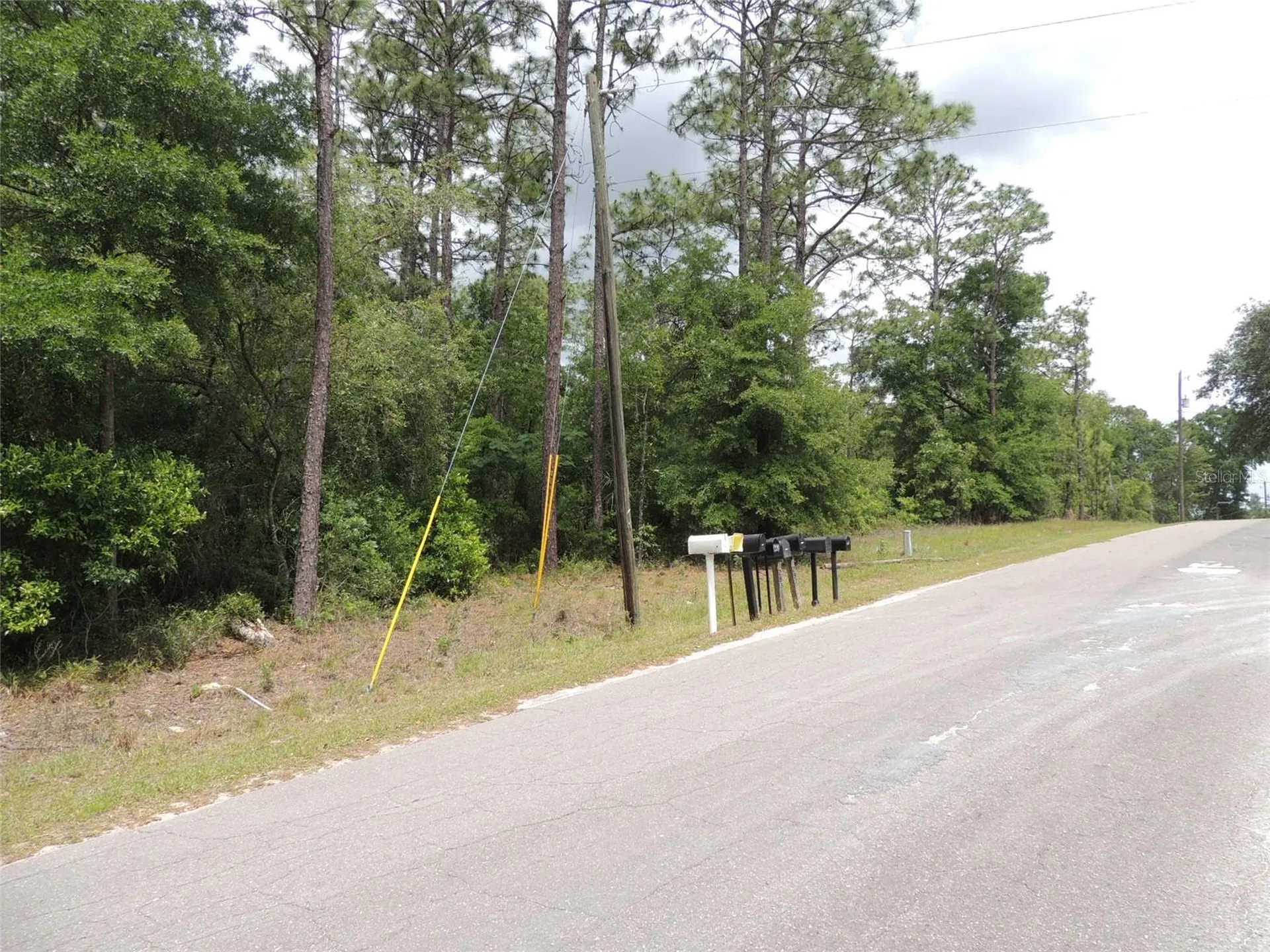 15955 NE 13th Street Williston FL 32696