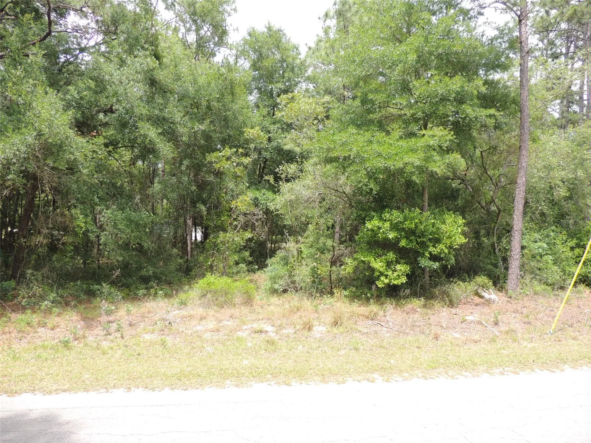 15955 NE 13th Street Williston FL 32696