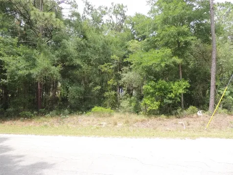 15955 NE 13th Street Williston FL 32696