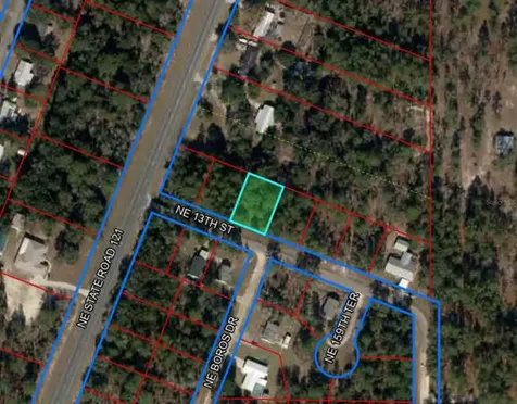 15955 NE 13th Street Williston FL 32696
