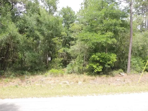 15955 NE 13th Street Williston FL 32696