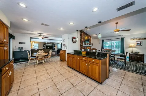 4522 Horseshoe Lake Way Plant City FL 33565