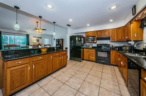 4522 Horseshoe Lake Way Plant City FL 33565