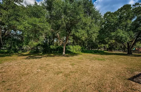 4522 Horseshoe Lake Way Plant City FL 33565