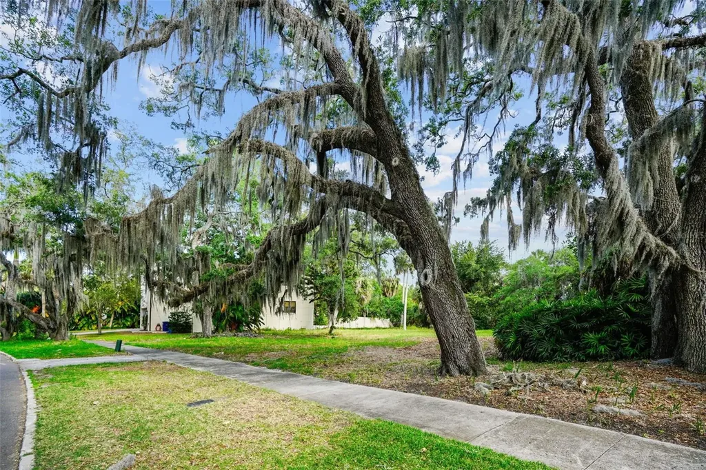 4806 W Beachway Drive Tampa FL 33609