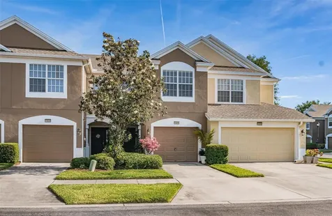 10230 Pink Palmata Court Riverview FL 33578
