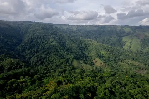 000 Bajo Los Indios Puntarenas OC