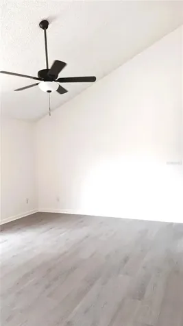 2681 Rachel Court Palm Harbor FL 34684