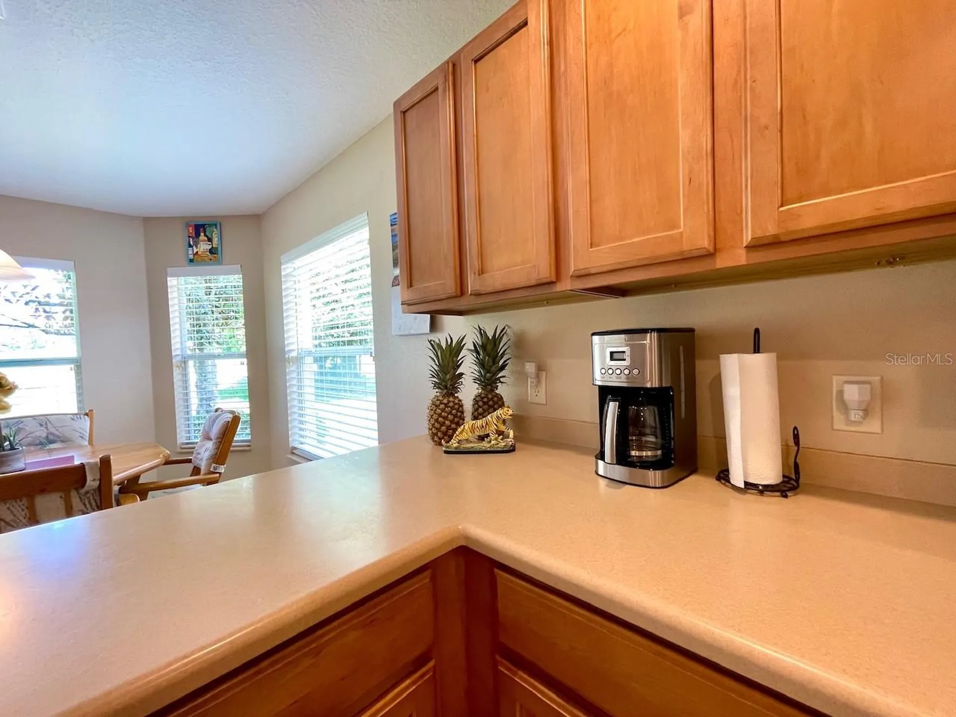 16026 SW 14th Avenue Road Ocala FL 34473