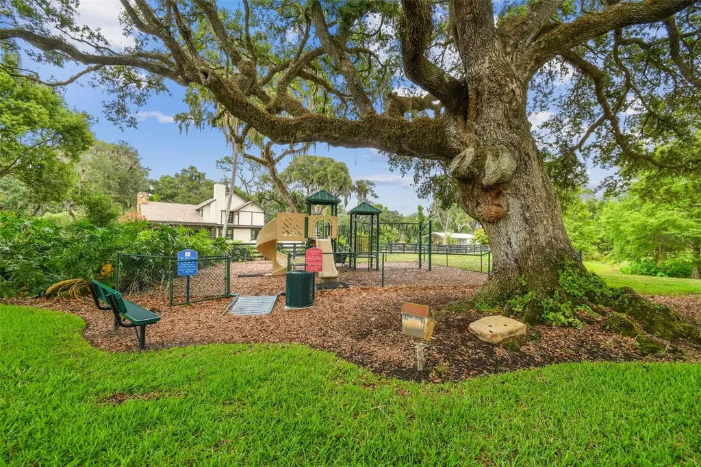 12310 Stonelake Ranch Boulevard Thonotosassa FL 33592