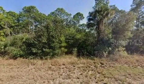 717 Brooklyn Loop Labelle FL 33935