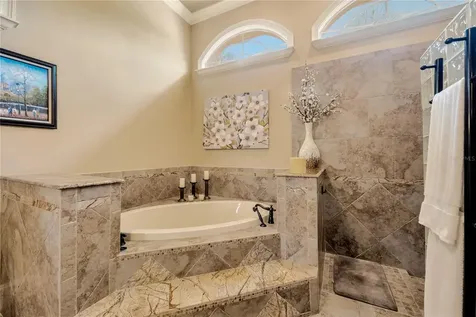 17808 Saint Lucia Isle Drive Tampa FL 33647