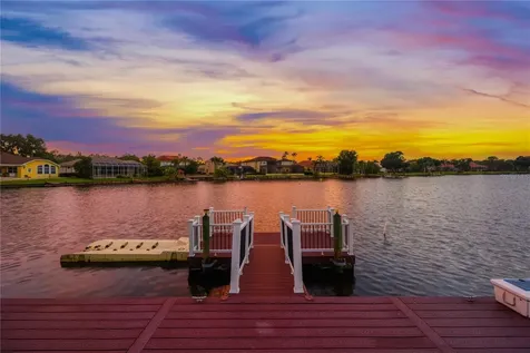17808 Saint Lucia Isle Drive Tampa FL 33647