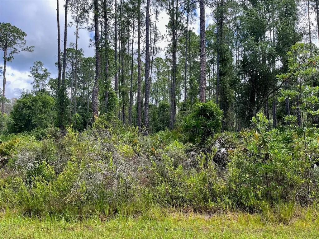 222 Marie Avenue Georgetown FL 32139