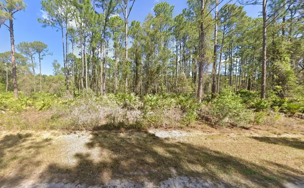 222 Marie Avenue Georgetown FL 32139