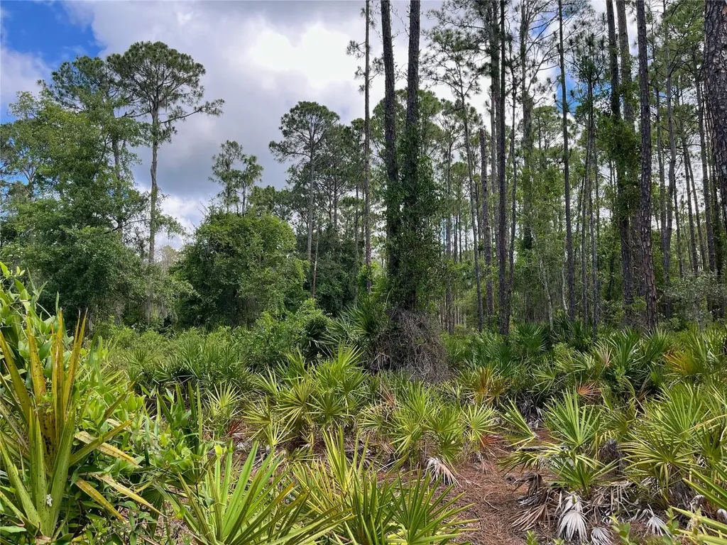 222 Marie Avenue Georgetown FL 32139