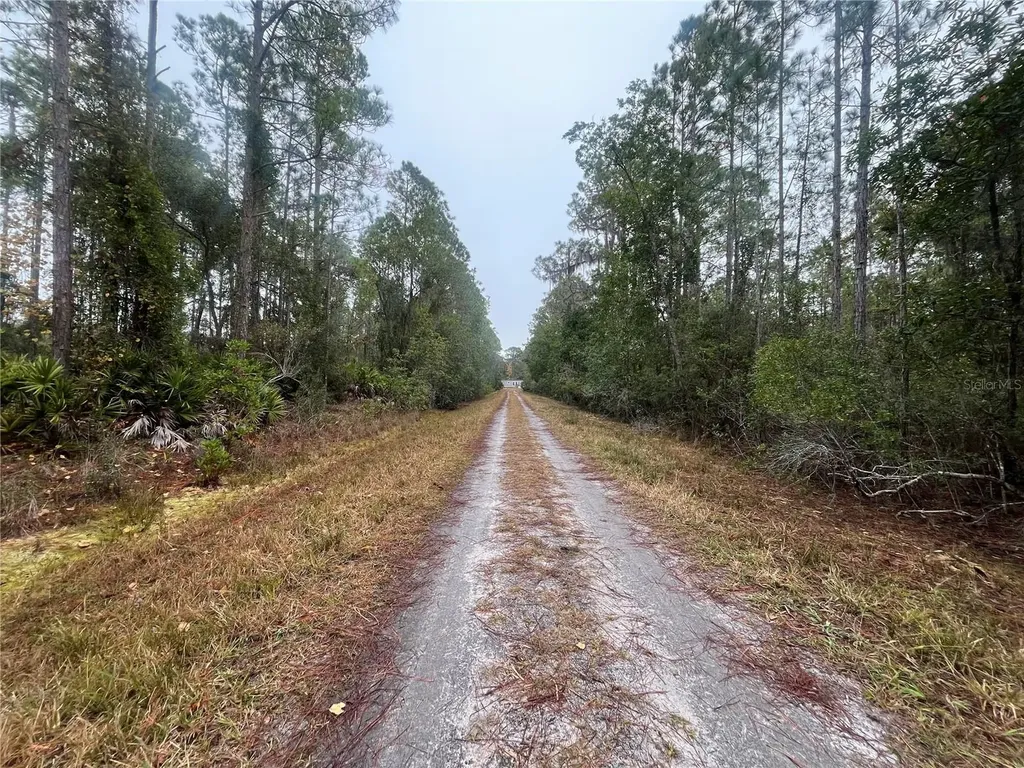 222 Marie Avenue Georgetown FL 32139
