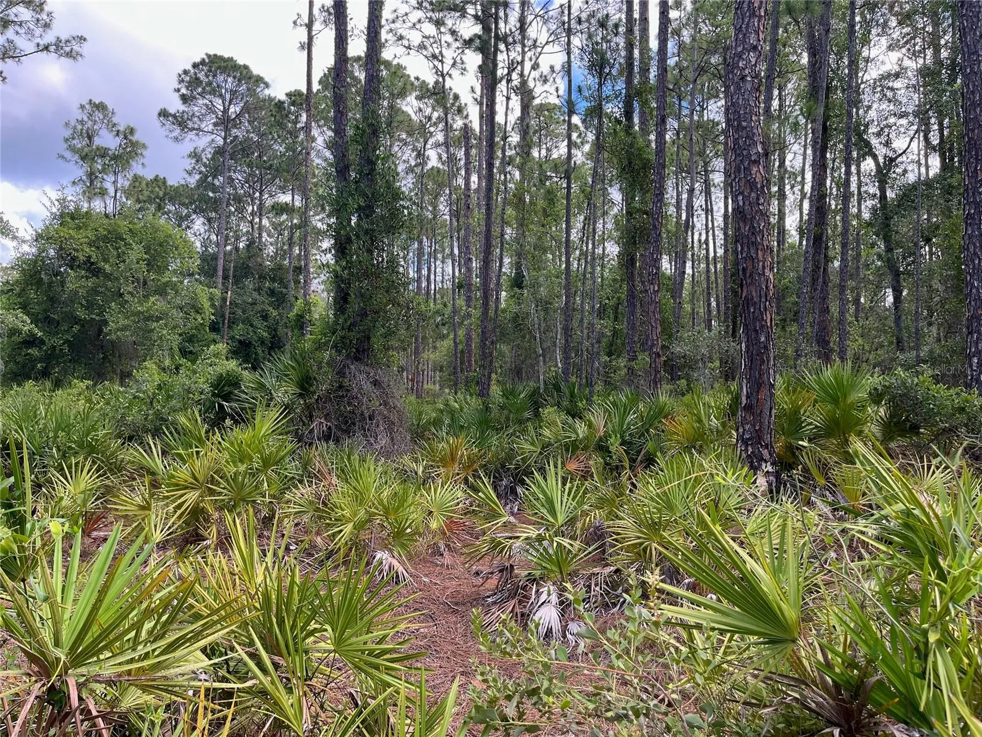 222 Marie Avenue Georgetown FL 32139